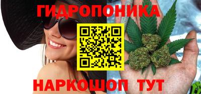 мдпв Кинель