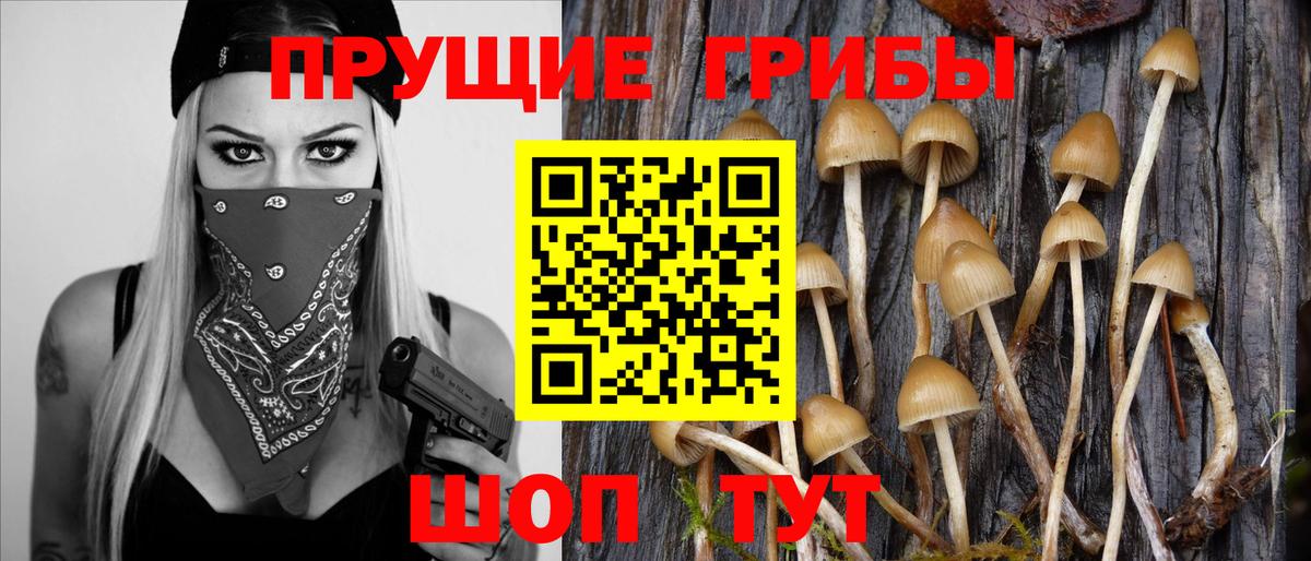 Галлюциногенные грибы GOLDEN TEACHER  Вход с VPN  Галлюциногенные грибы Psilocybine cubensis  Гай 